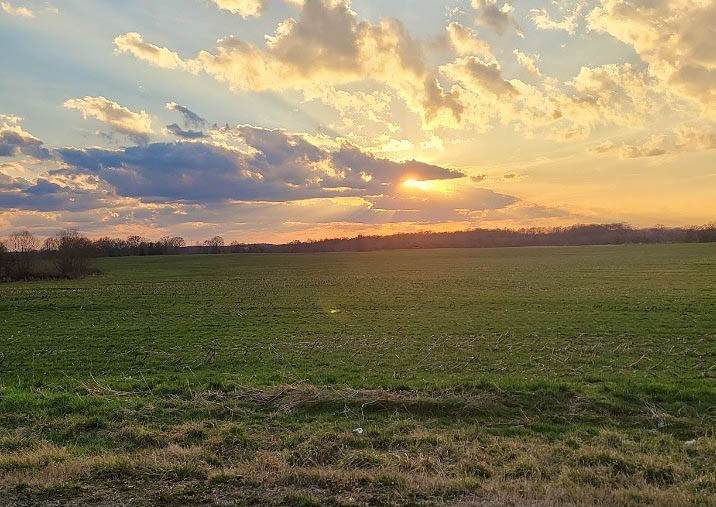 https://bt-photos.global.ssl.fastly.net/nashville/1280_boomver_2_RTC3282418-1.jpg
