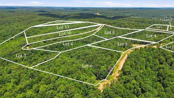 0 Poplar Point Ln - Photo 1