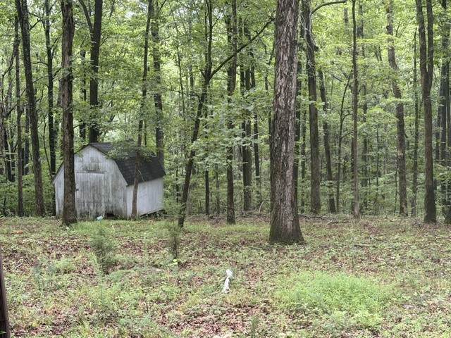 https://bt-photos.global.ssl.fastly.net/nashville/1280_boomver_1_RTC3311515-1.jpg