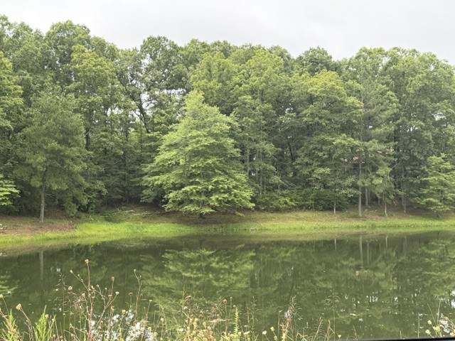 https://bt-photos.global.ssl.fastly.net/nashville/1280_boomver_1_RTC3311515-1.jpg