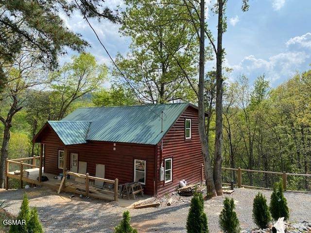 1211 Ski View Ln Lane - Photo 1