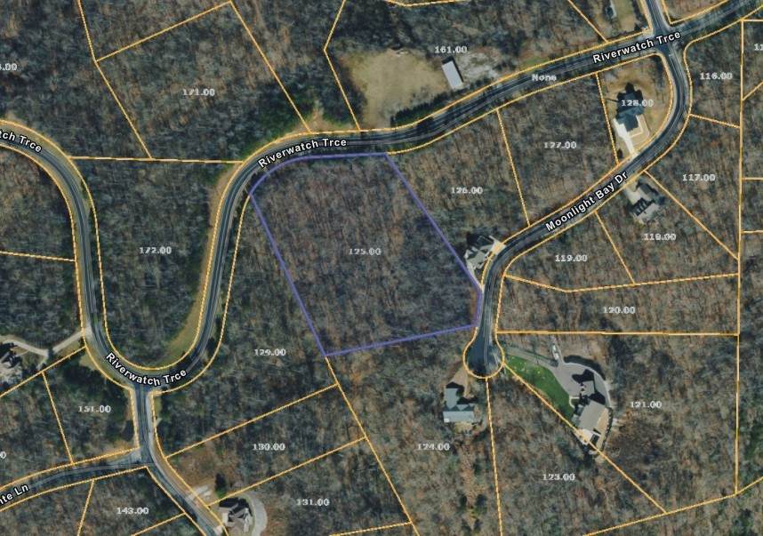 0 Moonlight Bay Dr - Photo 1