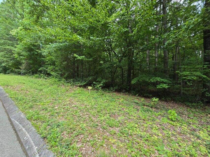138 Lower Brow Road - Photo 1