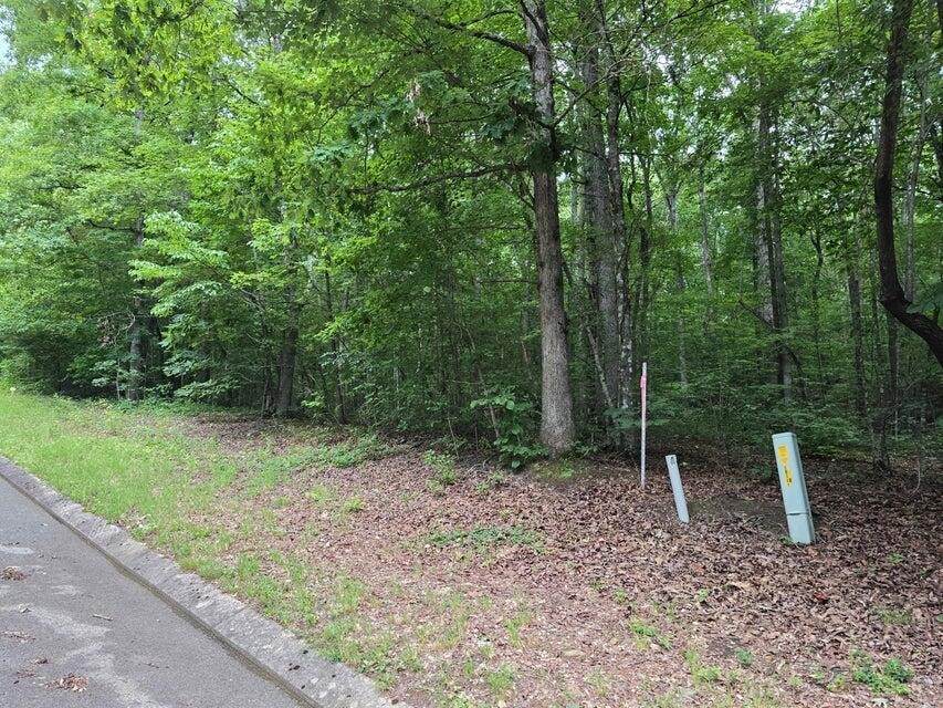 https://bt-photos.global.ssl.fastly.net/nashville/orig_boomver_1_RTC3315496-1.jpg