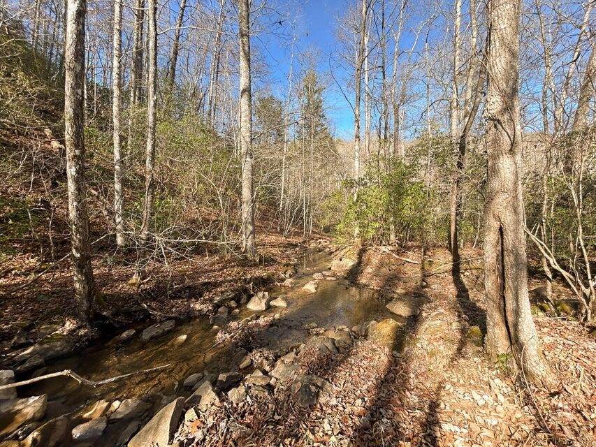 5 Deerhead Road - Photo 1