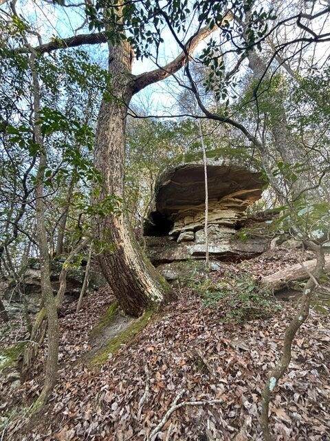 https://bt-photos.global.ssl.fastly.net/nashville/orig_boomver_1_RTC3315509-1.jpg