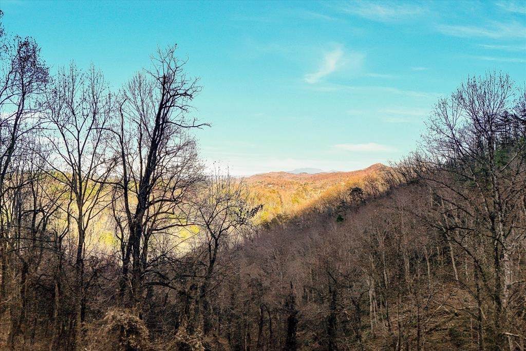 67 Balsam Slopes Road - Photo 1