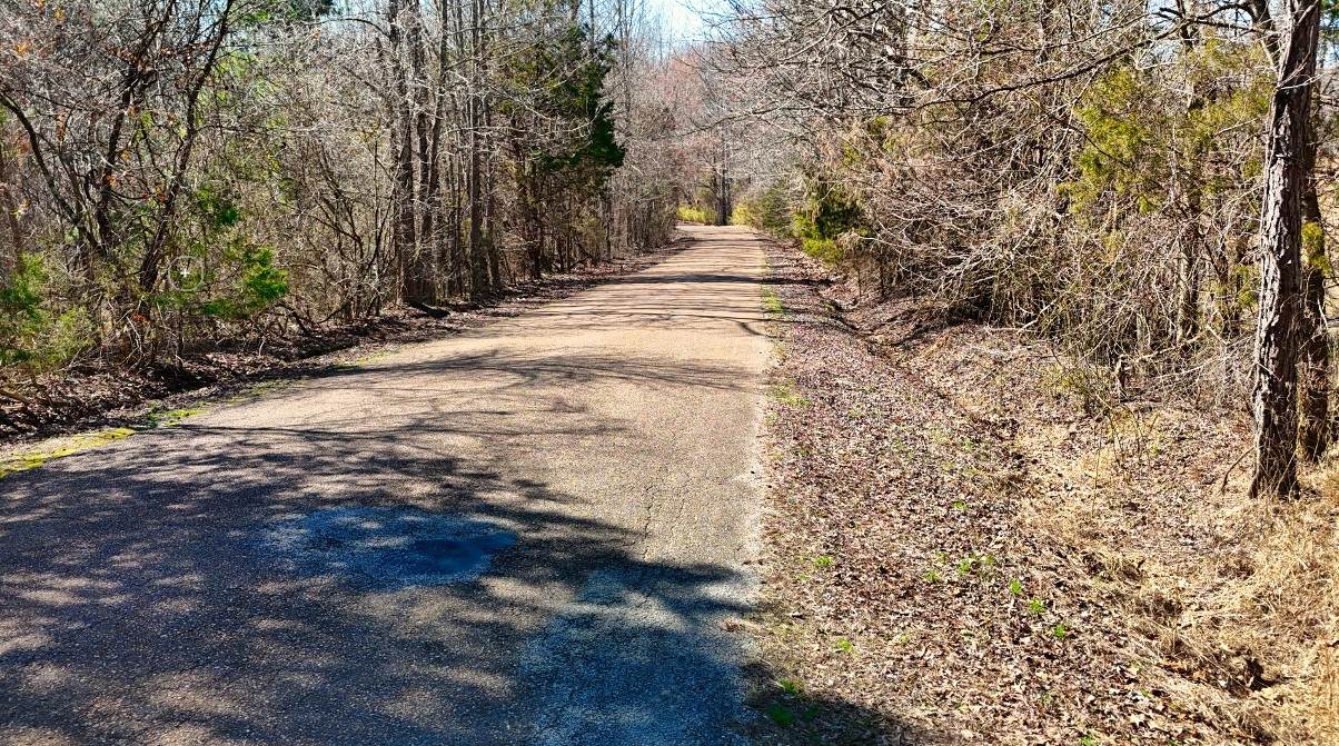 https://bt-photos.global.ssl.fastly.net/nashville/1280_boomver_1_RTC3333583-1.jpg