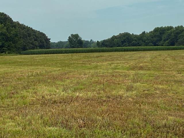 https://bt-photos.global.ssl.fastly.net/nashville/orig_boomver_1_RTC3333615-1.jpg
