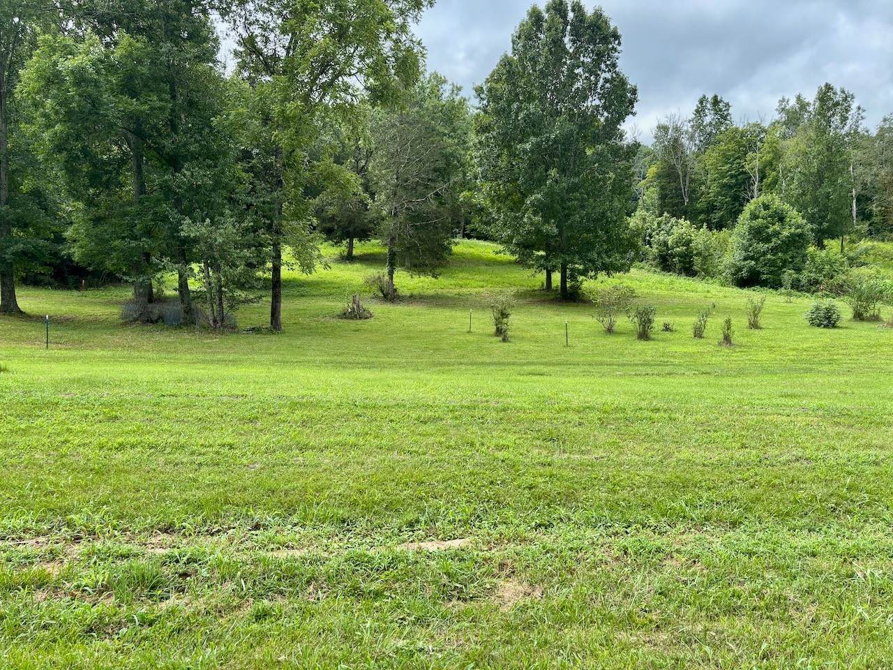 564 Dry Branch Road - Photo 1