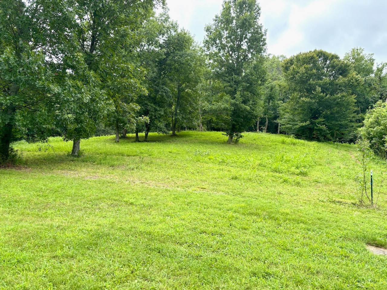 https://bt-photos.global.ssl.fastly.net/nashville/orig_boomver_1_RTC3335345-1.jpg