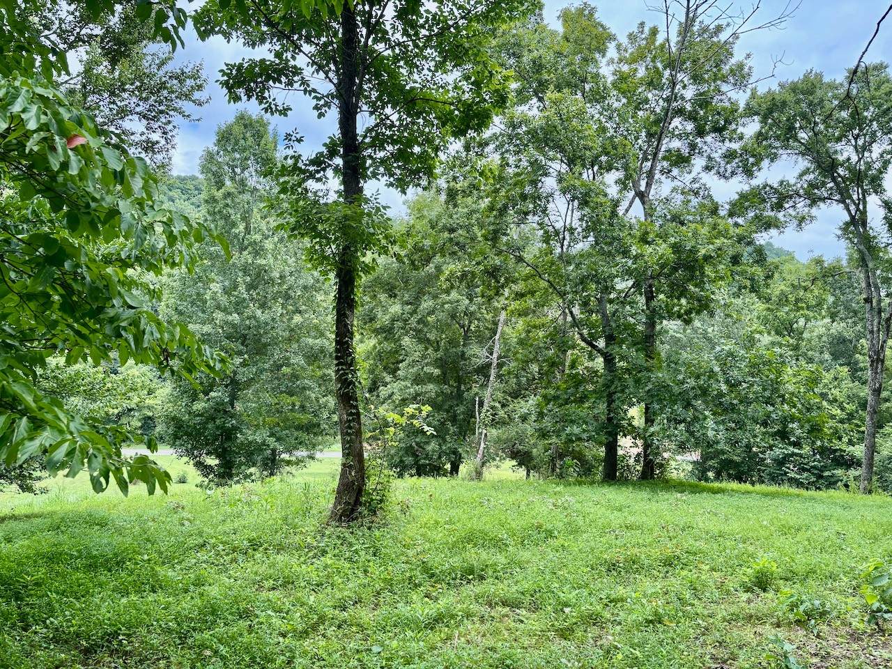 https://bt-photos.global.ssl.fastly.net/nashville/orig_boomver_1_RTC3335345-1.jpg