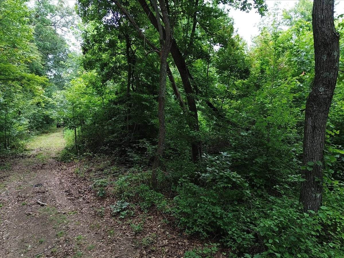 https://bt-photos.global.ssl.fastly.net/nashville/orig_boomver_1_RTC3336195-1.jpg