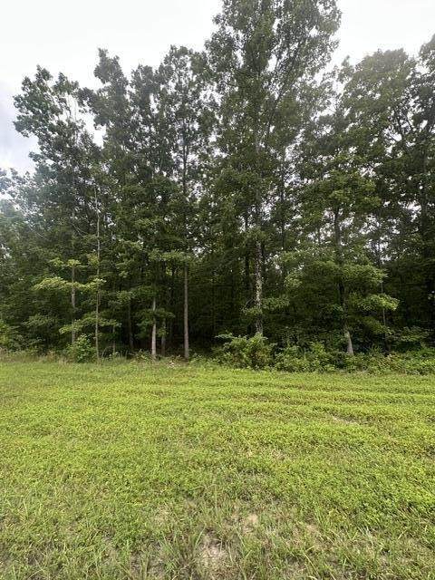 198 Kyuga Drive - Photo 1