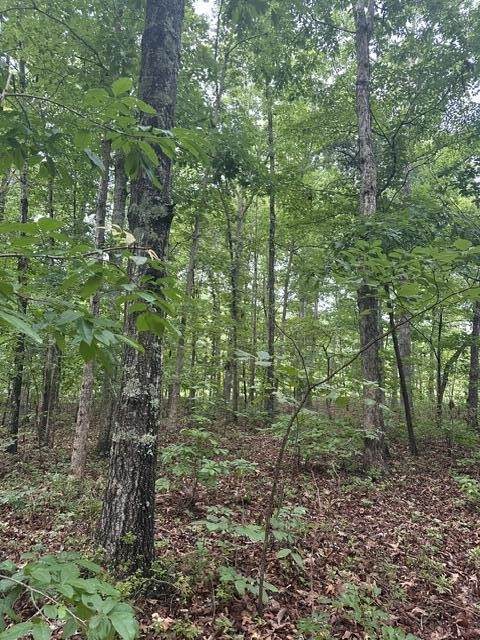 https://bt-photos.global.ssl.fastly.net/nashville/orig_boomver_1_RTC3499698-1.jpg