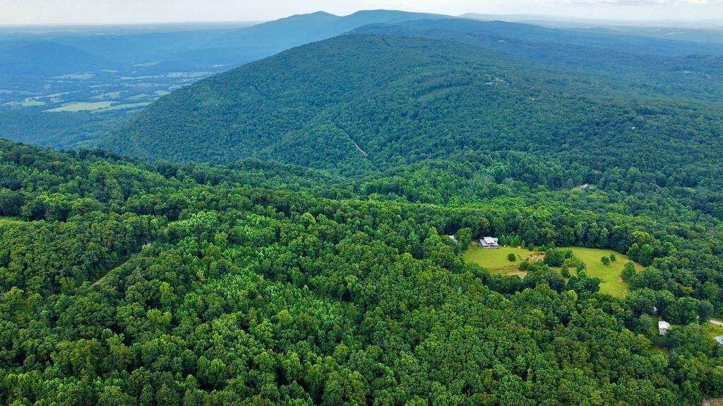 185 Raccoon Ridge - Photo 1