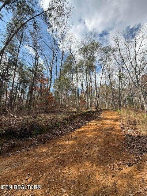 291 Palow Rd - Photo 1