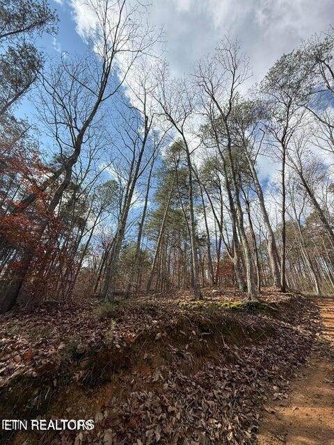 https://bt-photos.global.ssl.fastly.net/nashville/orig_boomver_1_RTC3514714-1.jpg