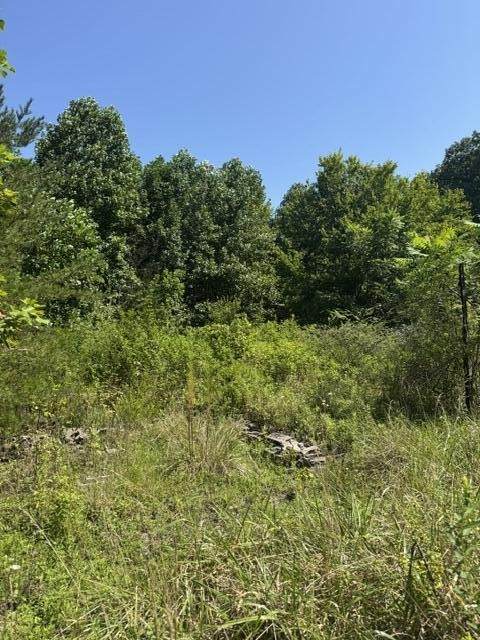 https://bt-photos.global.ssl.fastly.net/nashville/1280_boomver_1_RTC3531196-1.jpg