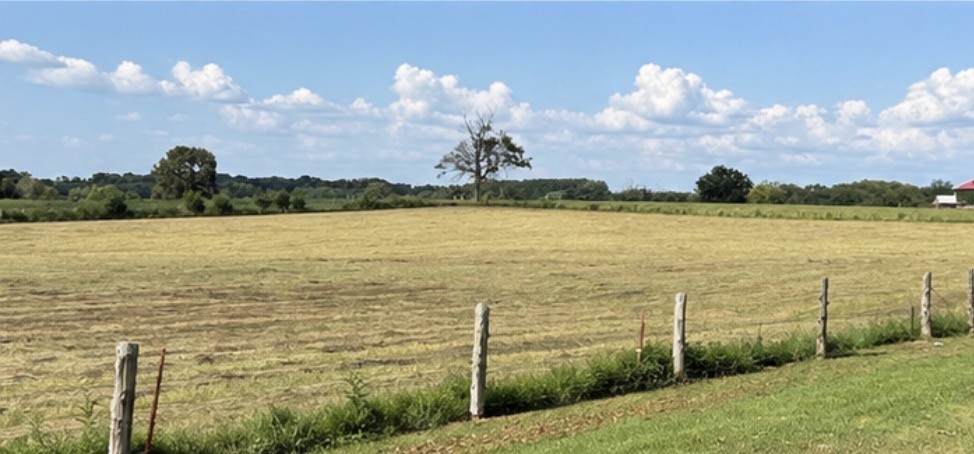 4142 Yager Rd - Photo 1