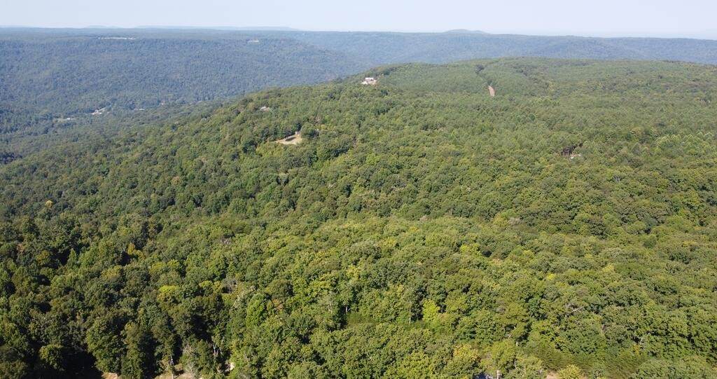 435 Ridge Wood Dr - Photo 1