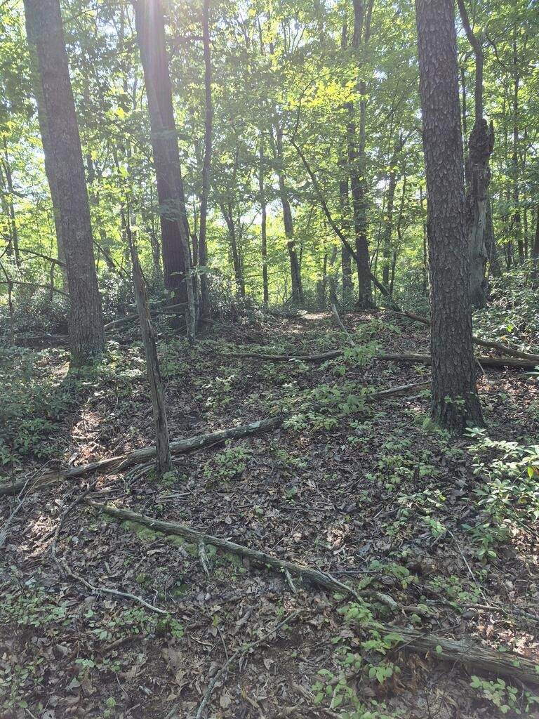 https://bt-photos.global.ssl.fastly.net/nashville/orig_boomver_1_RTC3531686-1.jpg