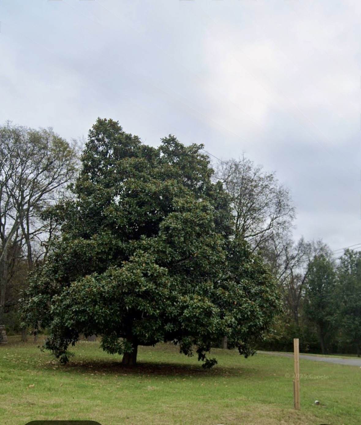 0 Old Hickory Blvd - Photo 1