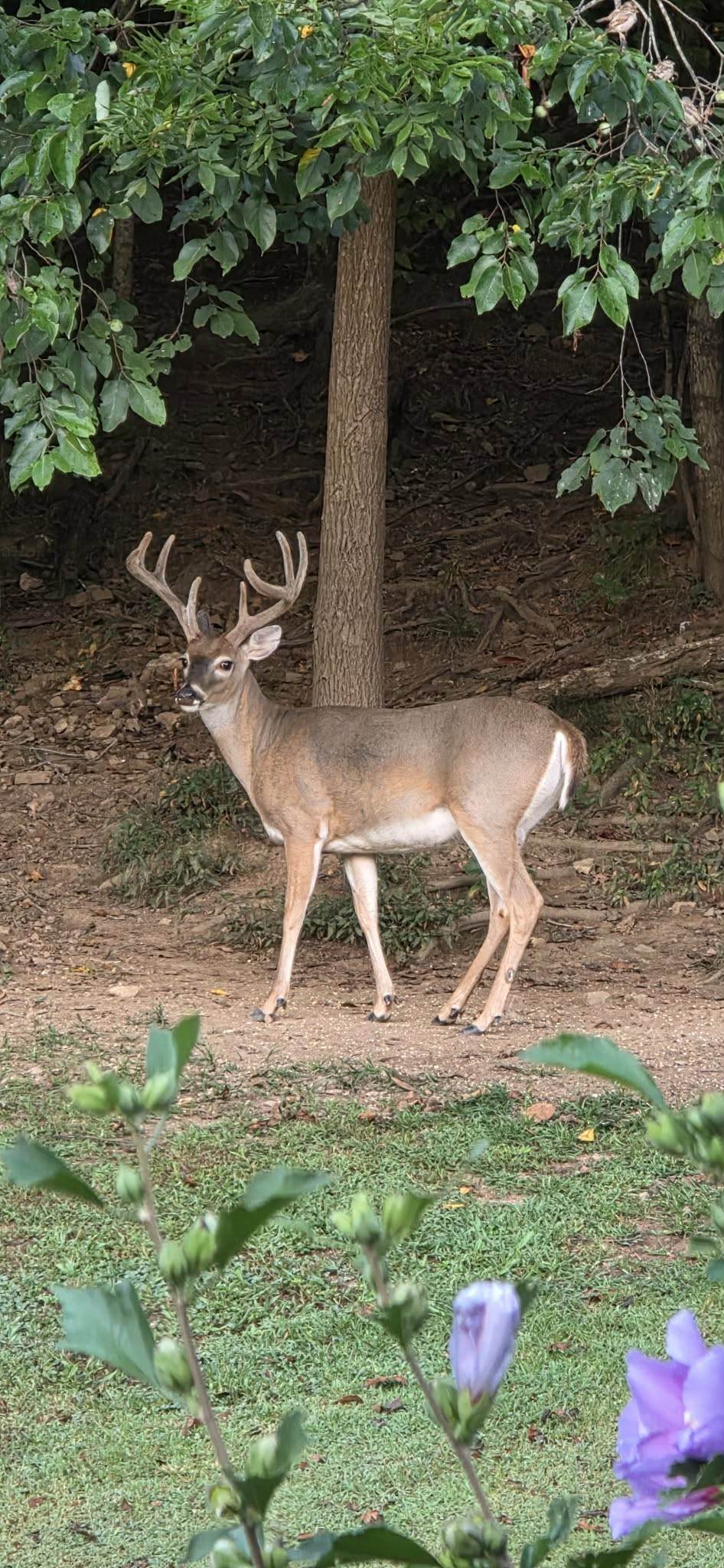 https://bt-photos.global.ssl.fastly.net/nashville/1280_boomver_1_RTC3547116-1.jpg