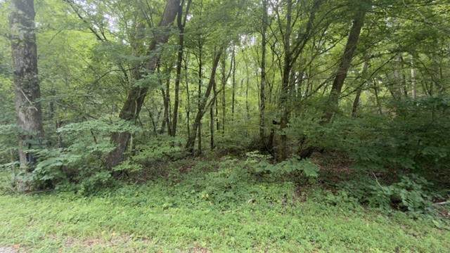 0 Brush Creek Rd - Photo 1