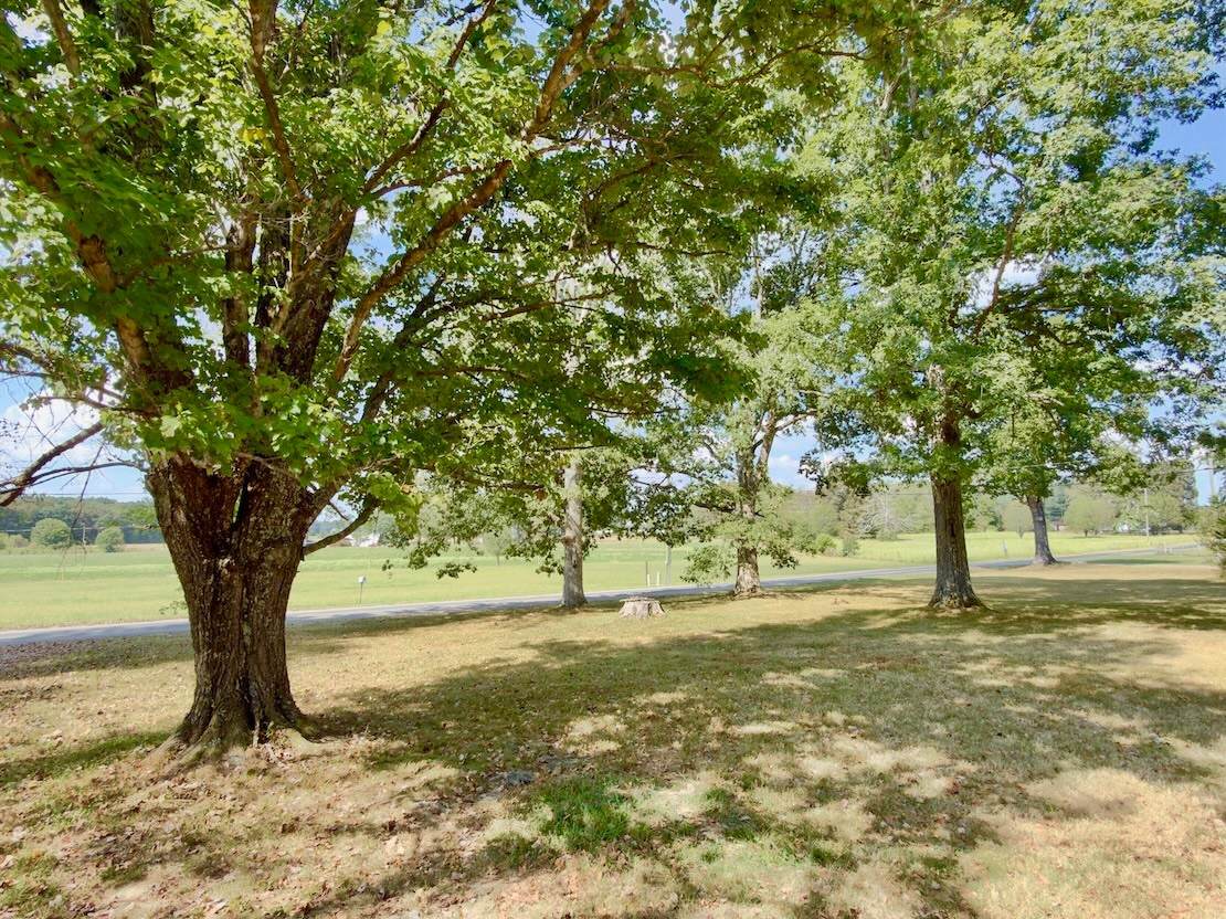 https://bt-photos.global.ssl.fastly.net/nashville/orig_boomver_1_RTC3597930-1.jpg