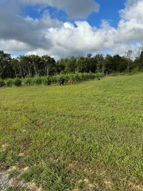 127 Rushing Springs Rd - Photo 1