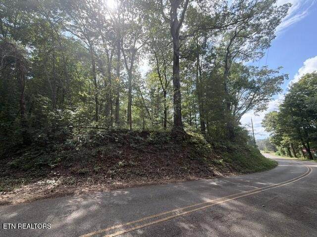 0 County Road 446 - Photo 1