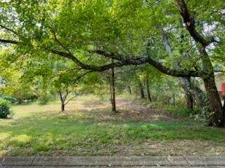 113 Bee Branch Boulevard - Photo 1