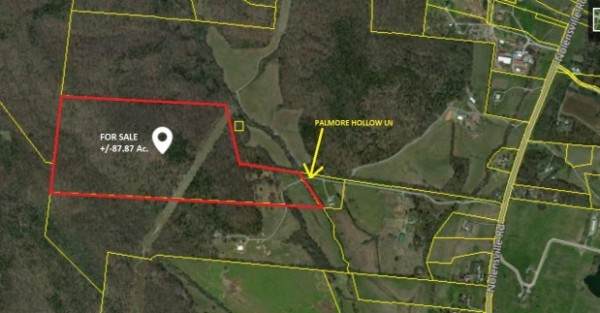0 Palmore Hollow Lane - Photo 1