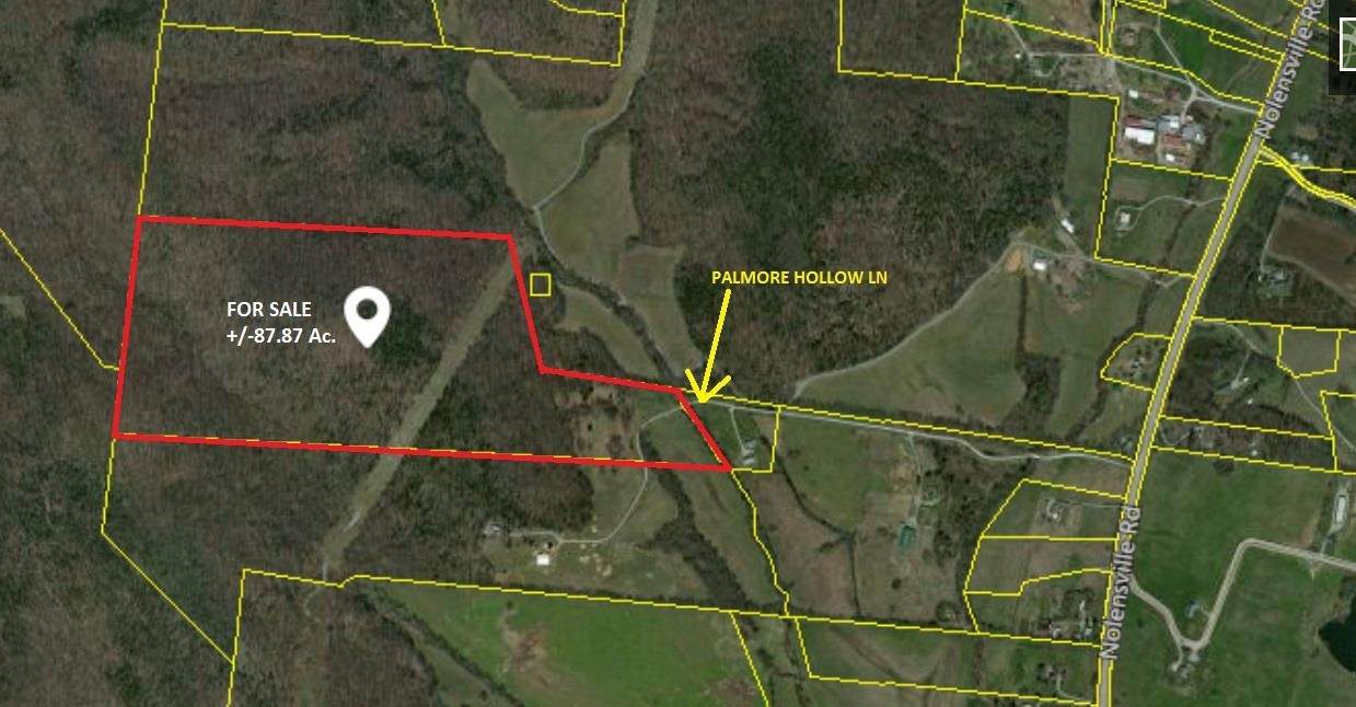 0 Palmore Hollow Lane - Photo 1