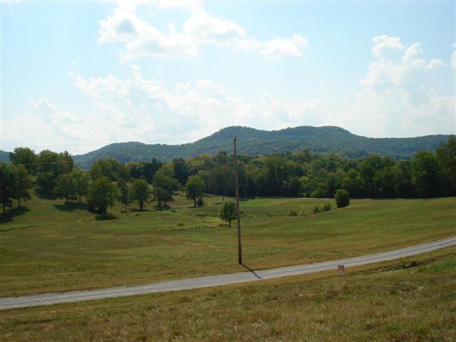 435 Lake Hollow Rd - Photo 1