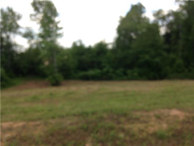 0 Michael Dr - Photo 1