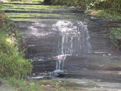0 Cane Creek Rd - Photo 1