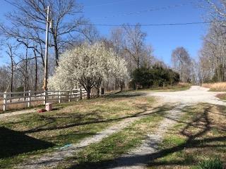 1099 Lee Greer Rd - Photo 1