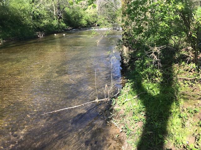 6200 Roberts Rd - Photo 1