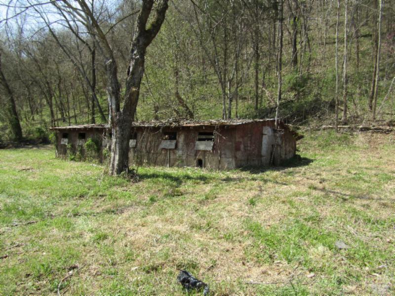 25 .72Ac. Gainesboro Hwy - Photo 1