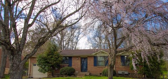 306 Cathy Jo Dr - Photo 1
