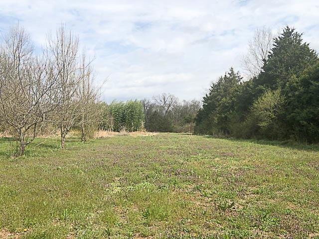 0 Asbury Rd - Photo 1