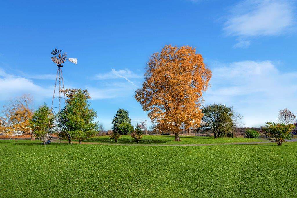 6536 Windmill Drive, Lot 110 - Photo 1