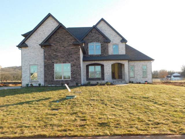 7305 Pembrooke Farms Dr - Photo 1