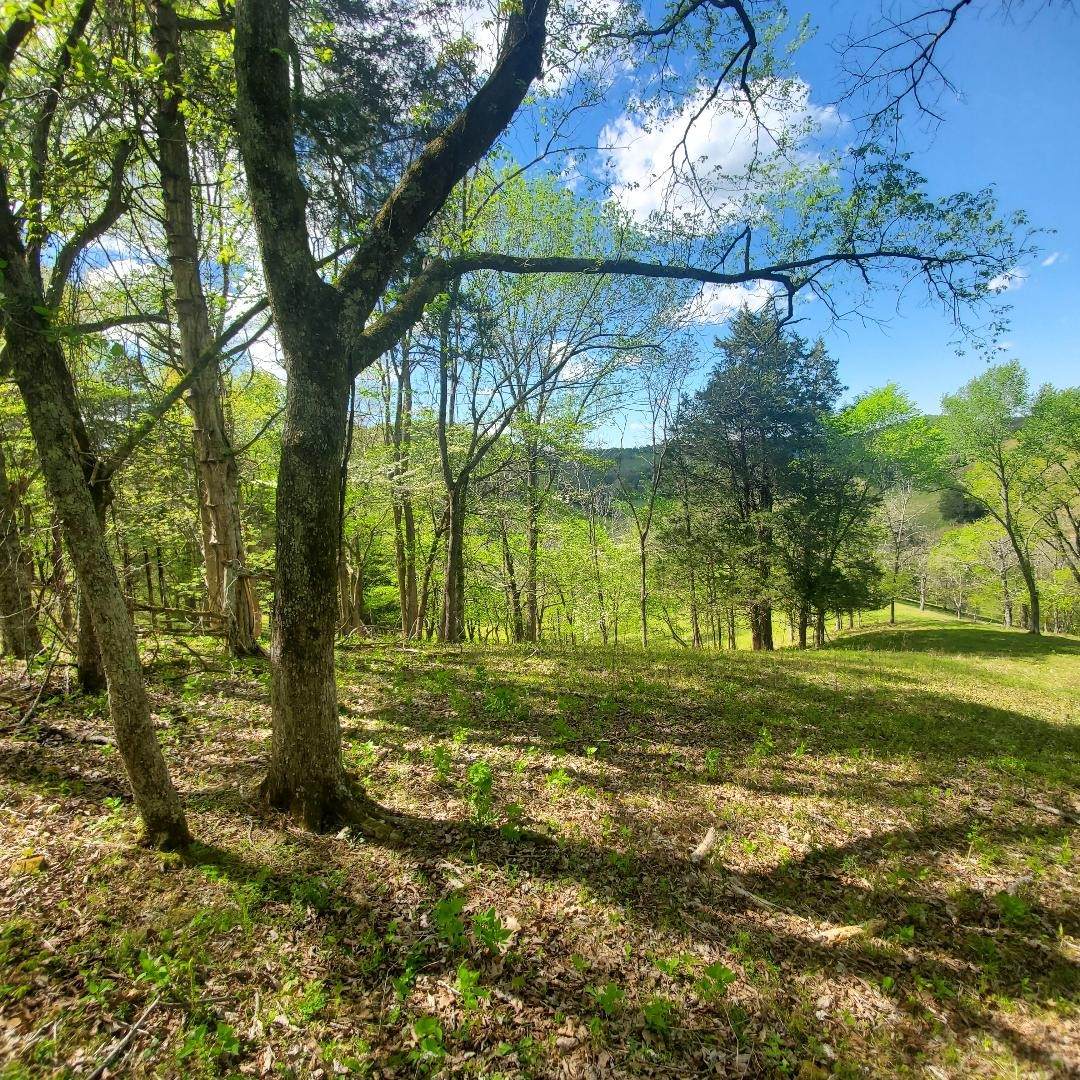 0 Charlie Todd Rd Lot 2 - Photo 1