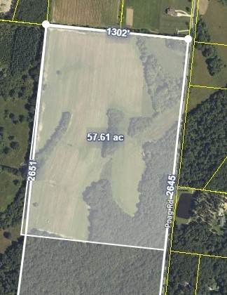 0 Summertown Hwy/Poag Rd - Photo 1