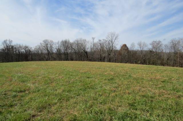 577 Petty Hollow Rd - Photo 1