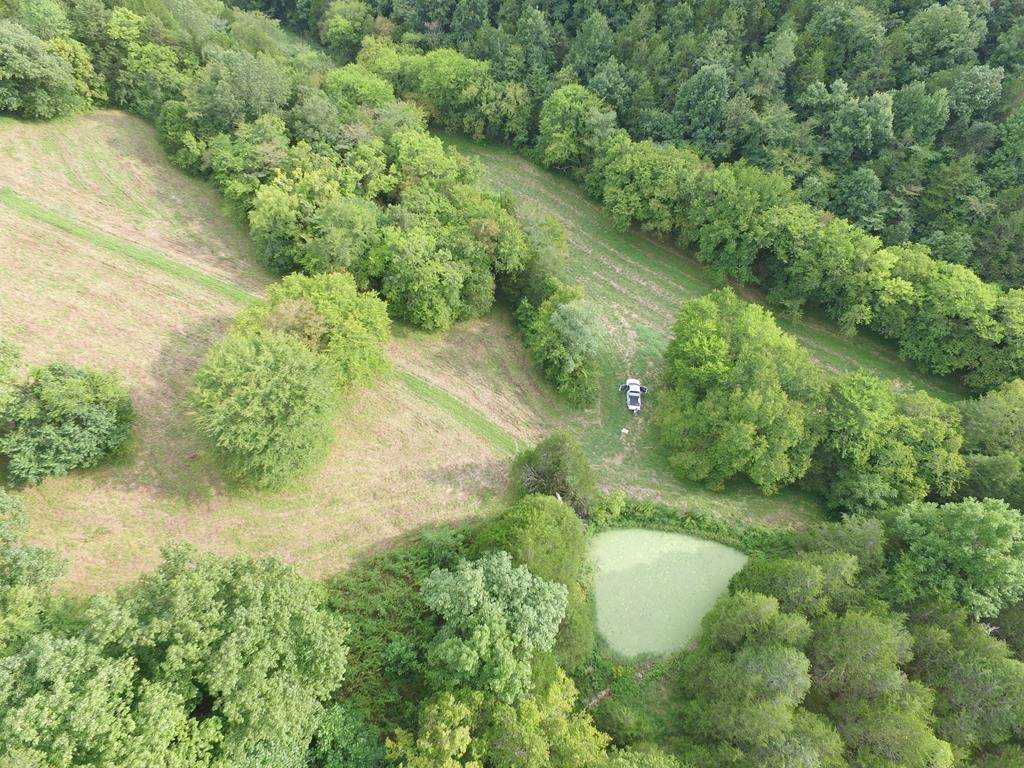 475 Halls Br Rd - Photo 1
