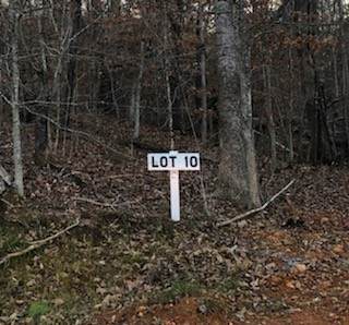 0 Lewis Lane - Photo 1